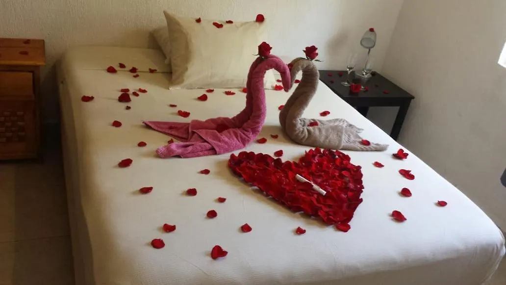 Appartement Nice Apart In Center With Pool Playa del Carmen